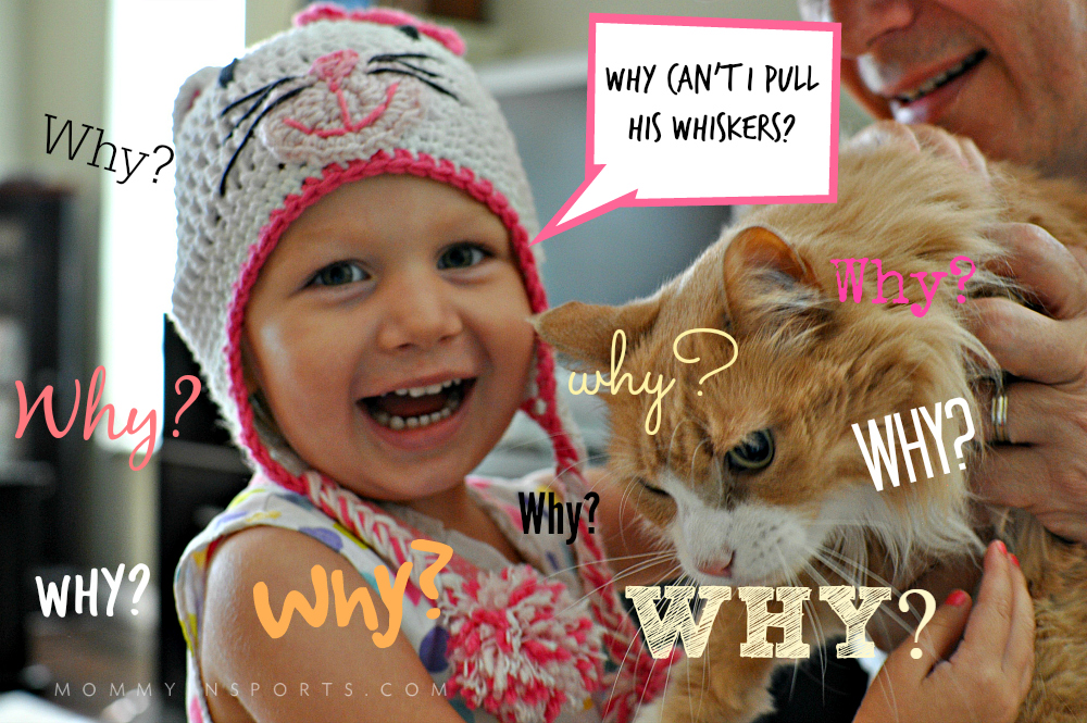 Does your child always ask the same thing over and over and over again? Why? Because they're curious, and they are getting your attention. Read more from a Pediatrician on how to combat that why's!