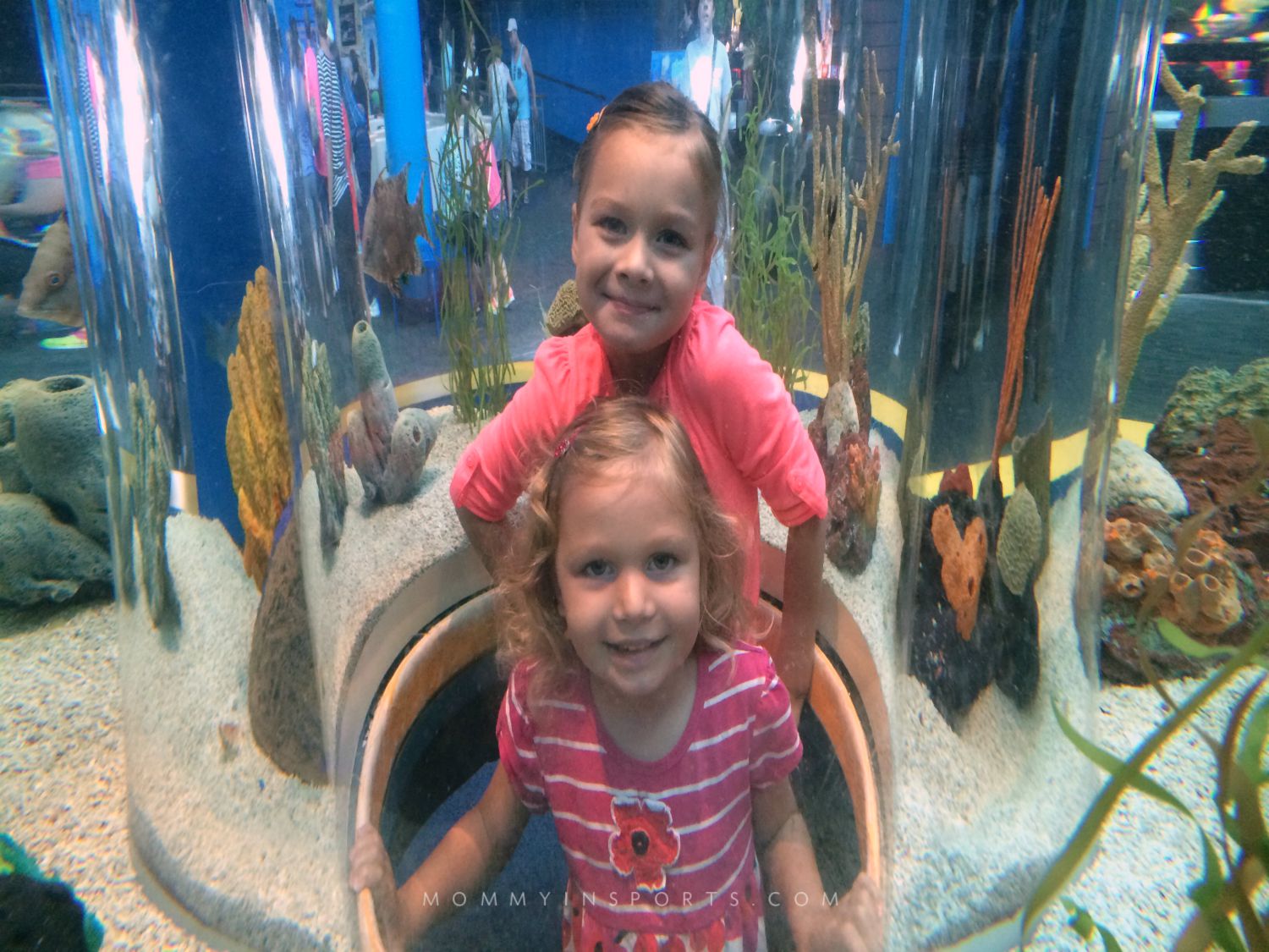 Aquarium kids in fishtank