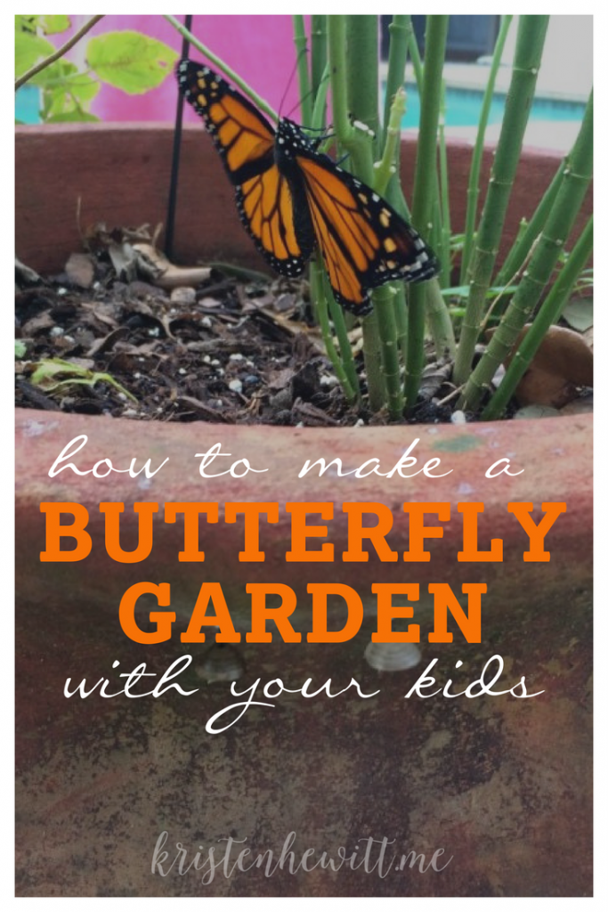 Looking to start a butterfly garden? Here's an easy way to teach the life cycle of a butterfly, and watch caterpillars turn to chrysalis', and then butterflies with your kids!