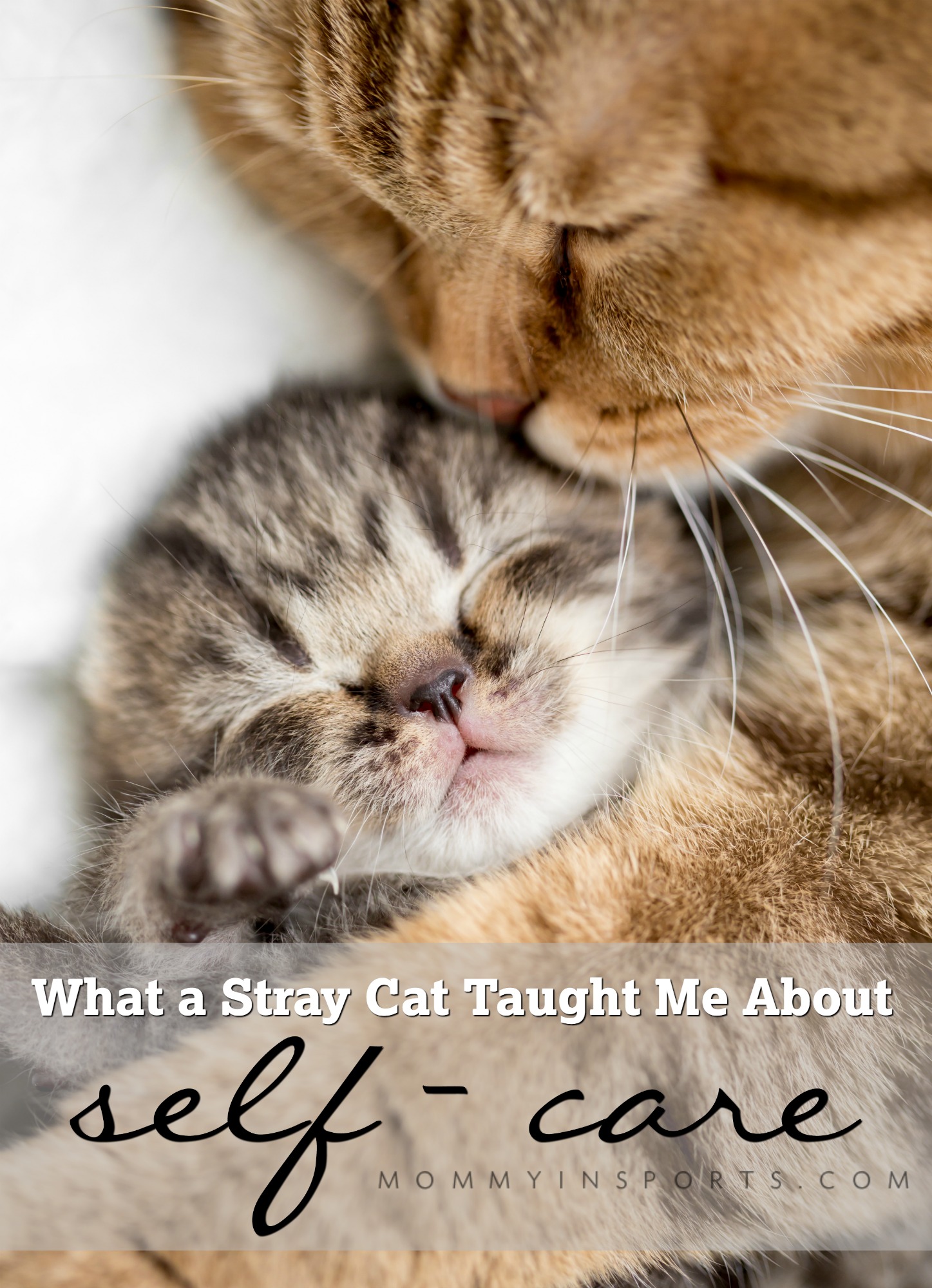 Feeling overwhelmed from motherhood. There are ways to make space in your life for YOU. Read how a stray cat helped me find time for myself, and ways YOU can too!