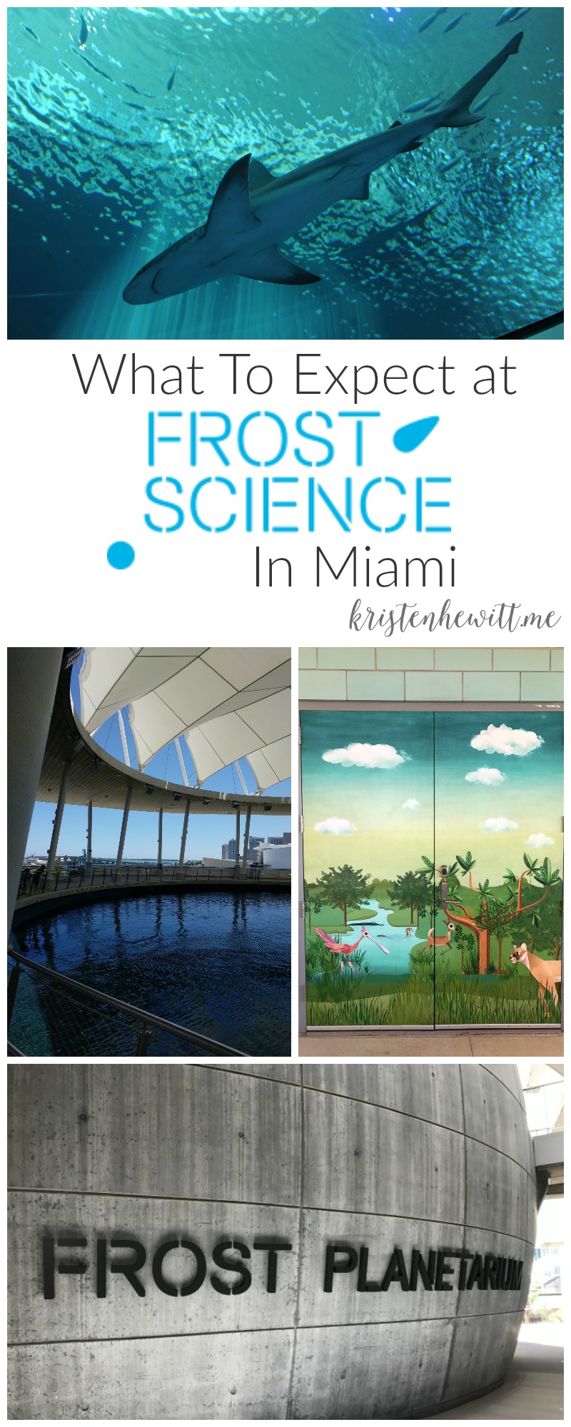 What to Expect at Frost Science in Miami - Kristen Hewitt