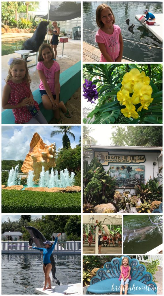 Top 5 Things To Do in Key Largo with Kids Kristen Hewitt